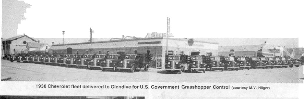 Glendive Grasshoppers Fl.