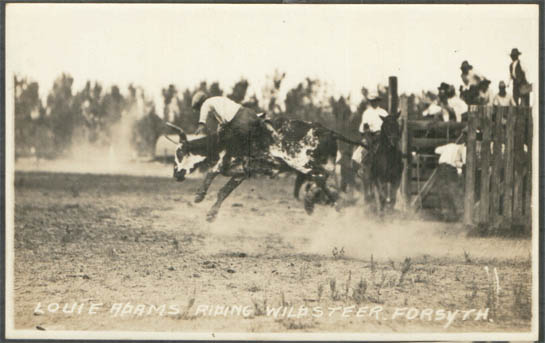 Forsyth Rodeo 2